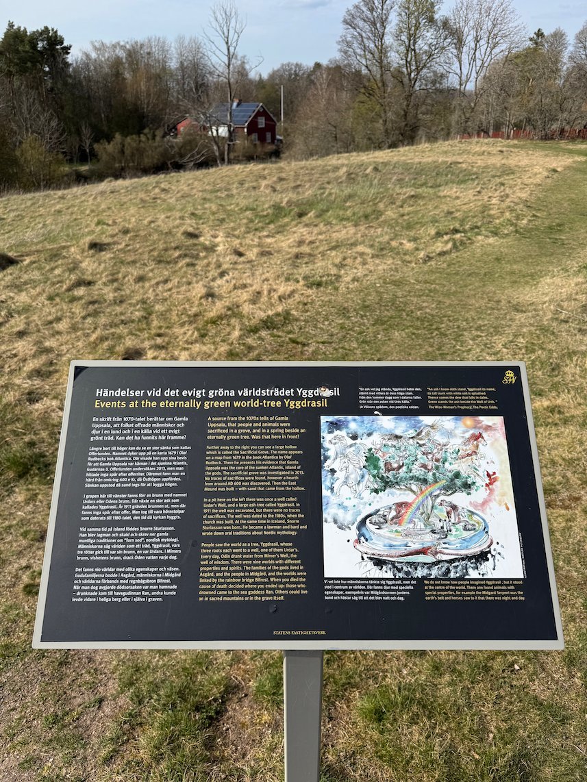 Information sign about the world tree Yggdrasil from Norse mythology, in a grass field at Gamla Uppsala