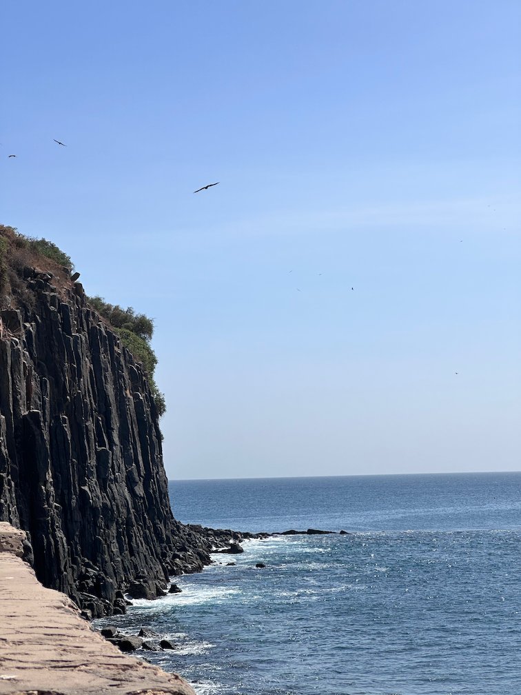 Dark basalt cliffs drop into the sea on the coast of Goree Island.