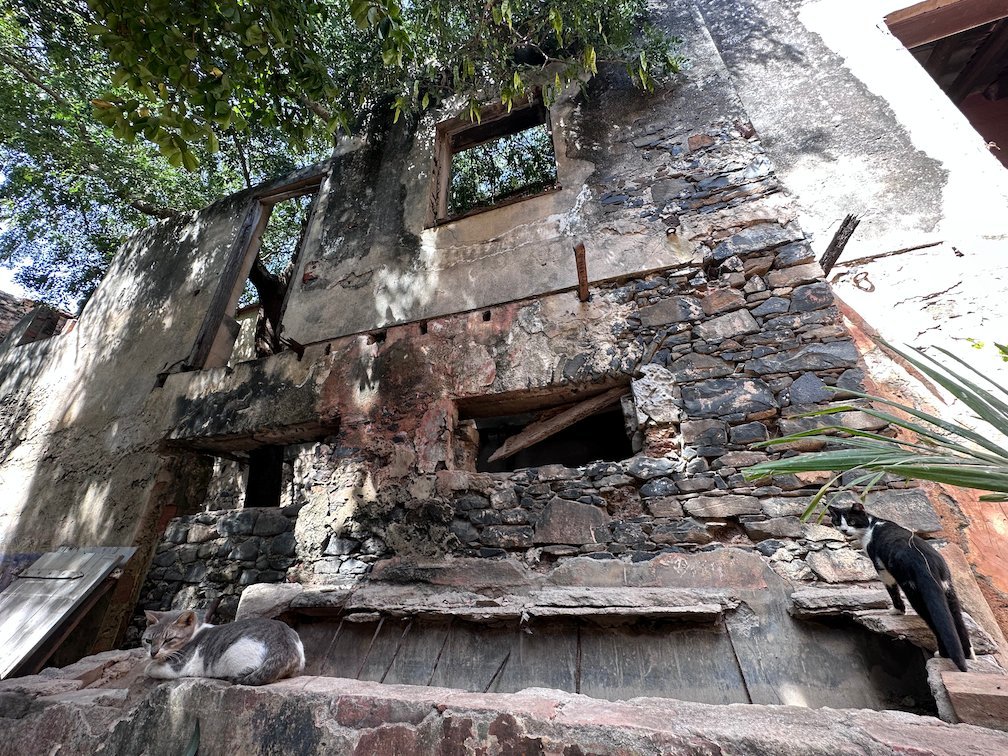 A crow sits on the wall of a ruined stone house on Goree Island.