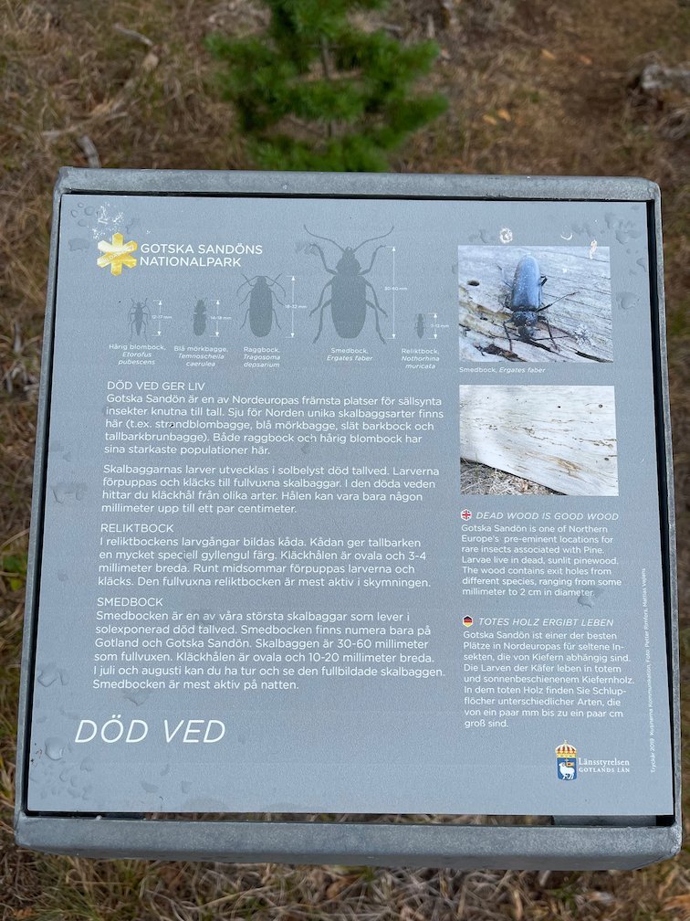 Informationsskylt Död ved om insekter som lever i döda träd