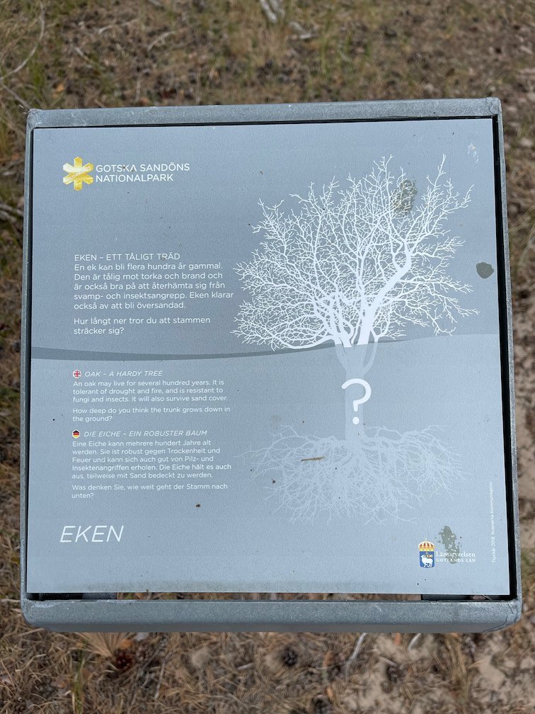 Informationsskylt Eken med en teckning av ett träd och rötter