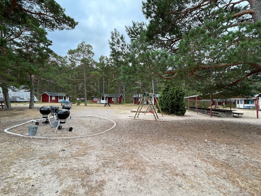 Grillplats med grillar på sandig mark mellan tallar och stugor