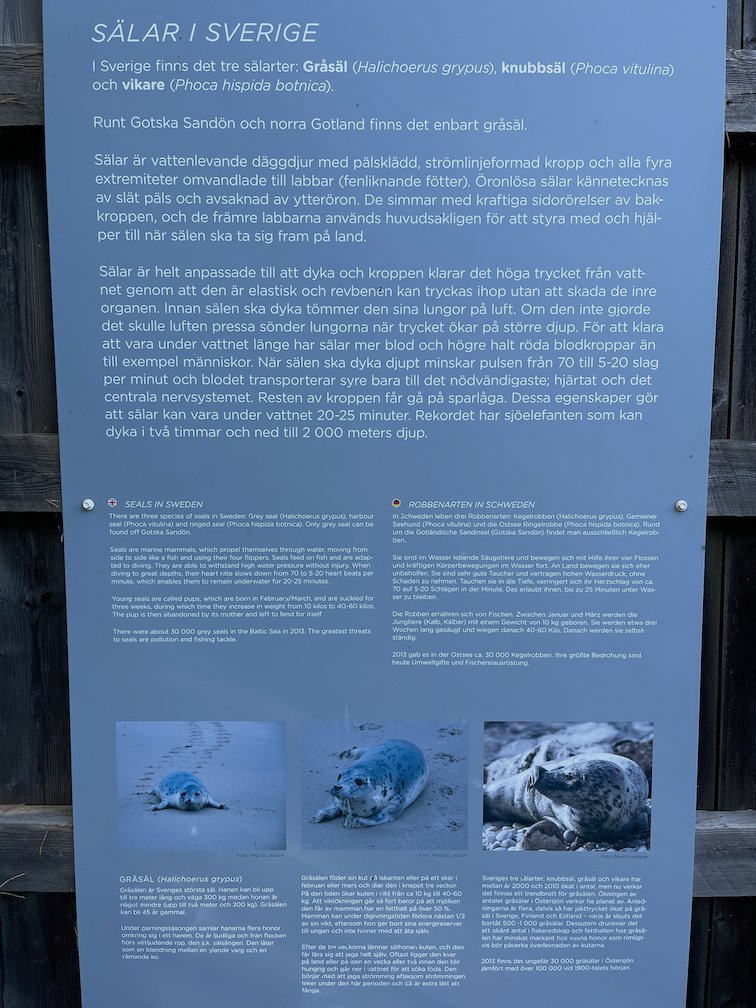 Skylt Sälar i Sverige med text och bilder på gråsäl och knubbsäl