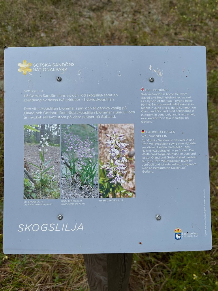 Informationsskylt Skogslilja med bilder på den sällsynta orkidén