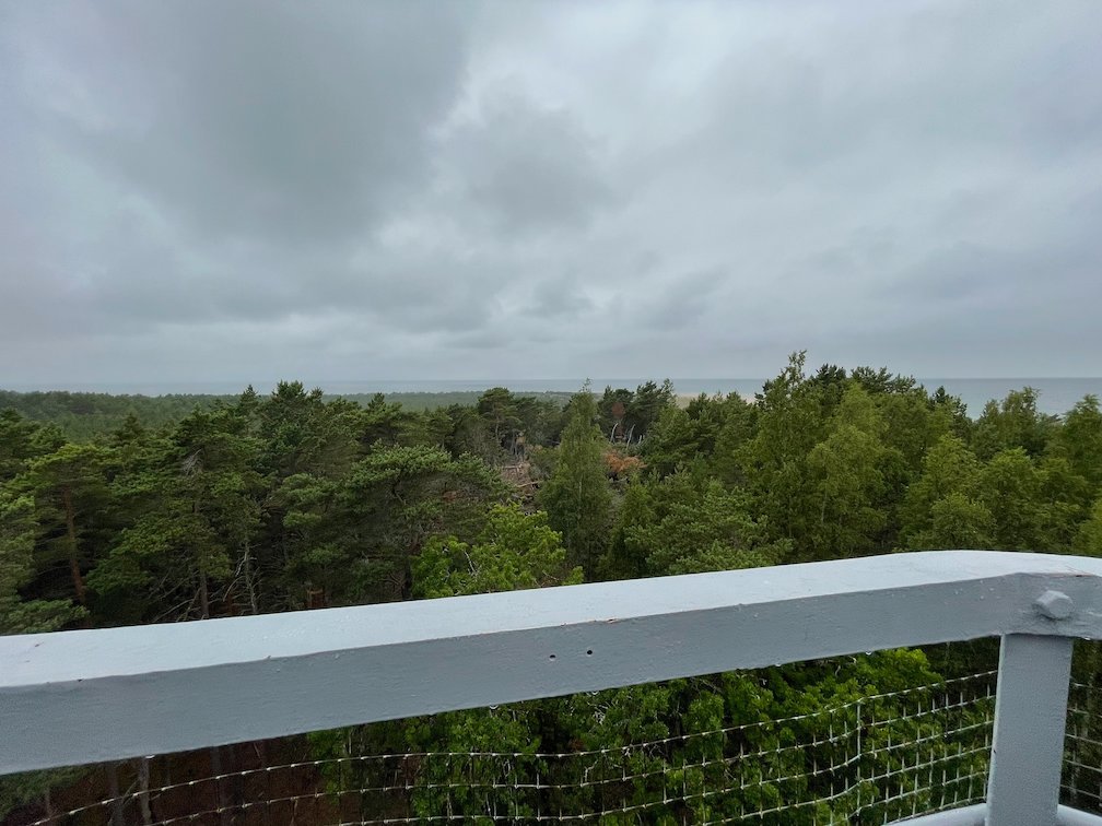 Utsikt från fyrens räcke över skogen mot havet