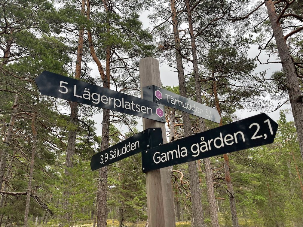 Vägvisare mot Lägerplatsen, Säludden och Gamla gården i tallskogen