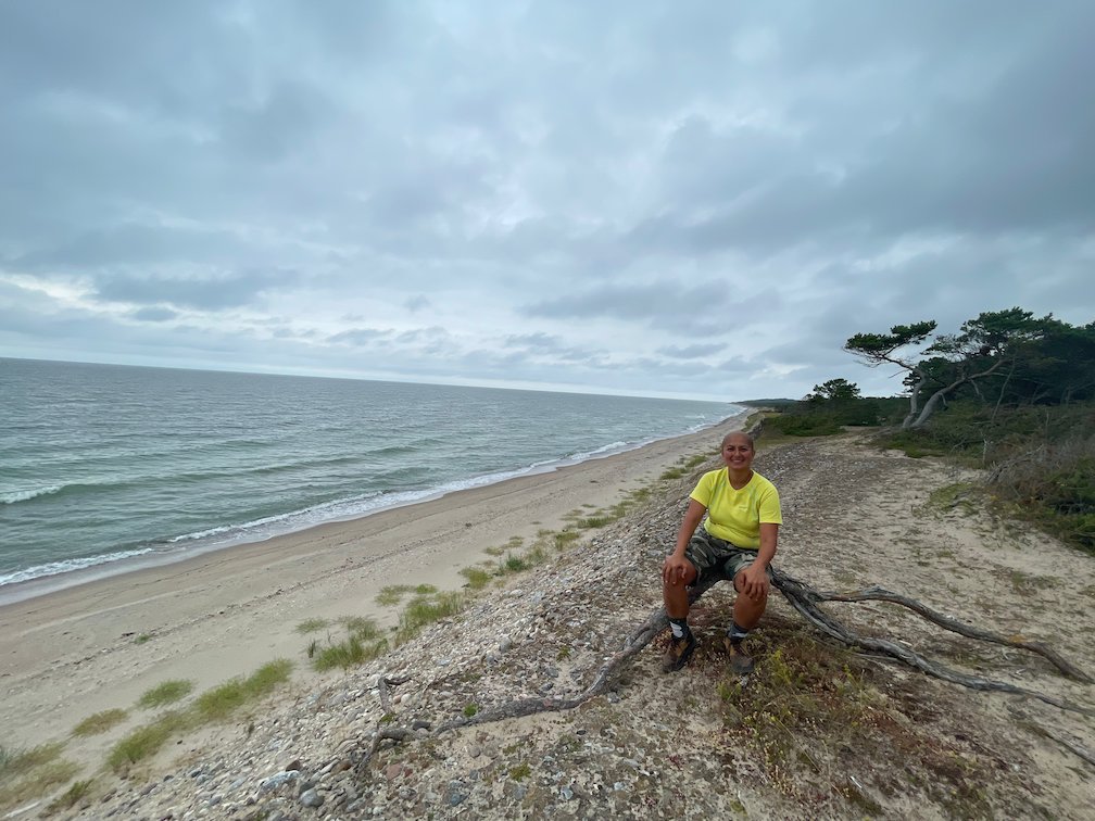 En vandrare i gul tröja vilar på en trädrot vid den långa sandstranden på Gotska Sandön