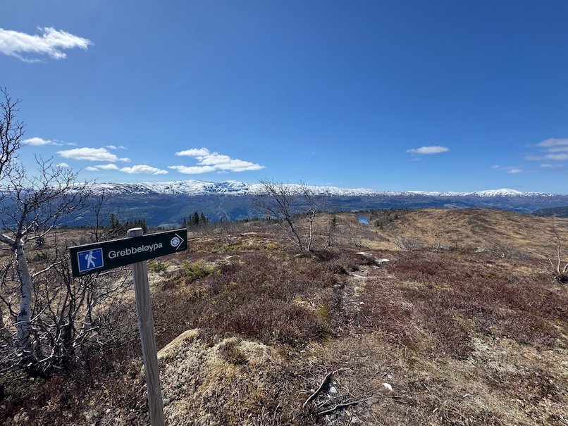 Grebbeløypa trail sign on the open mountain plateau above Voss, with snowy peaks far away