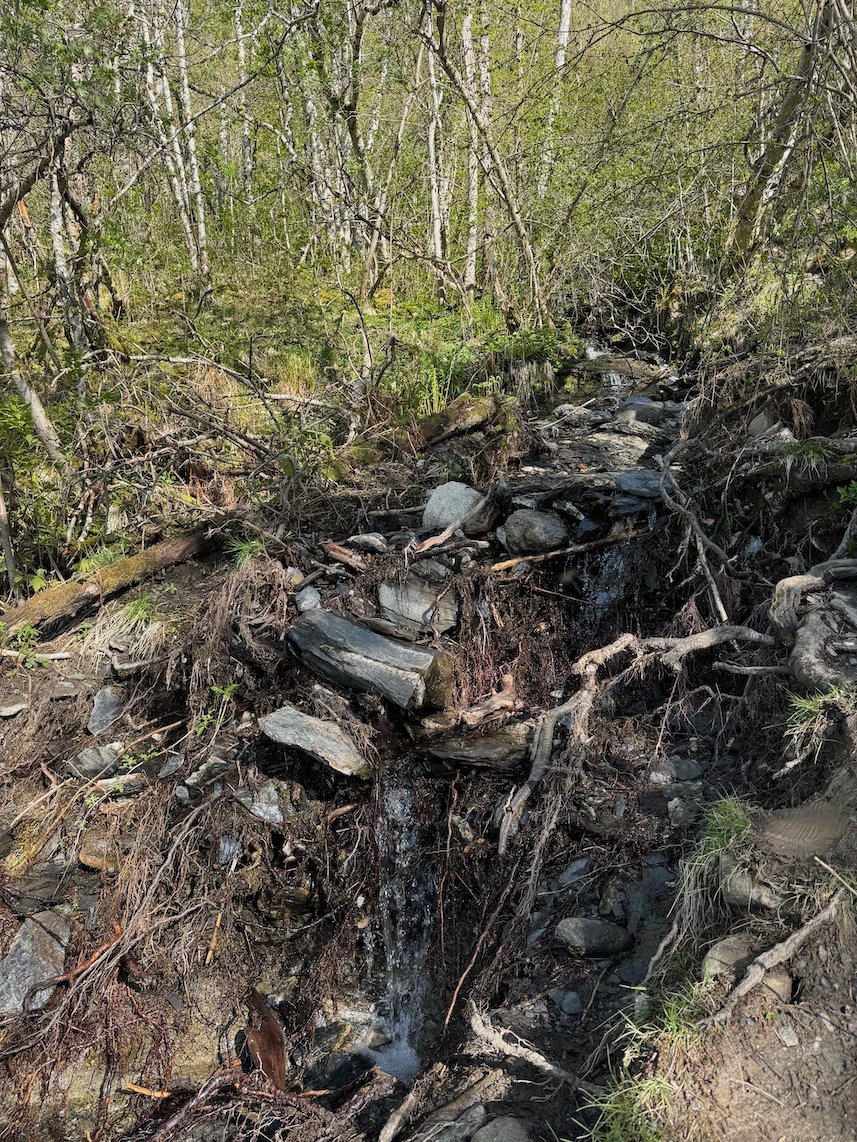 Steep stony trail with roots and loose rocks in the forest above Voss