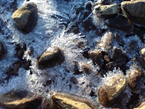 Long ice crystals grow between wet stones at the shore on Kadermo island near Hanko.