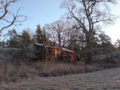 An old wooden barn stands among bare trees and dry grass on Kadermo island near Hanko.