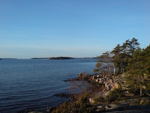 Pine trees grow on a rocky shore beside calm blue sea in the archipelago near Hanko.