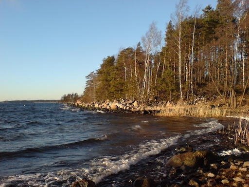 Small waves wash onto a stony beach below a wooded point on Kadermo island near Hanko.