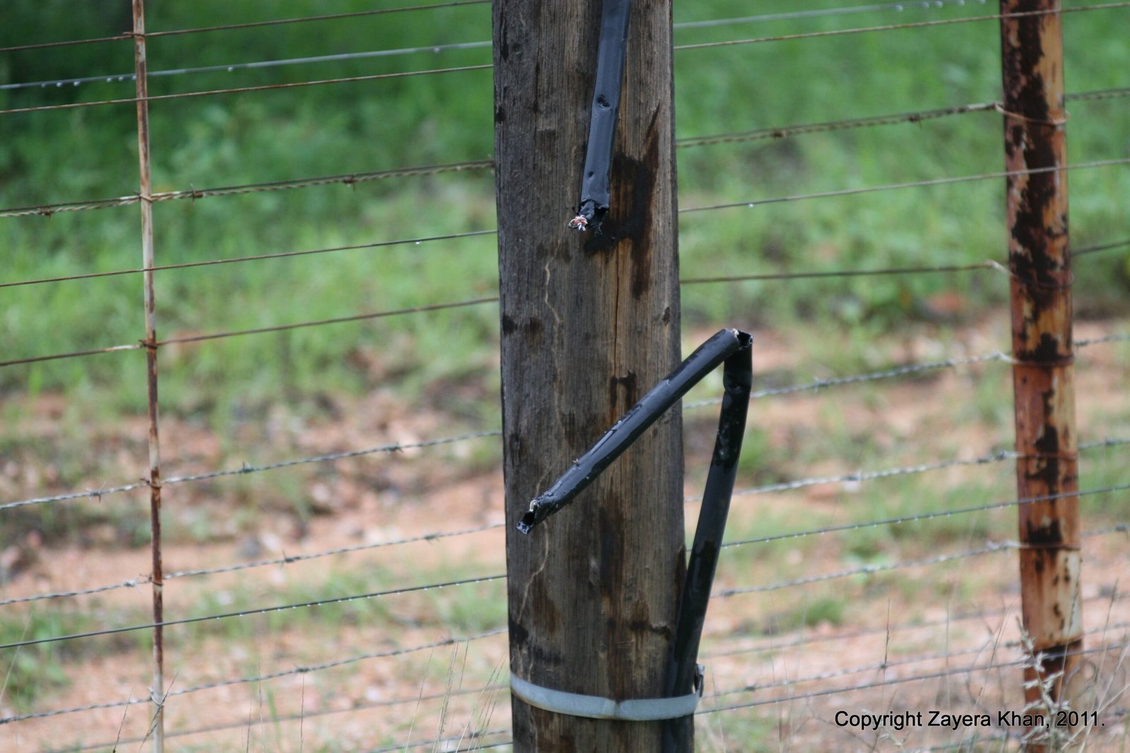 A wooden fence post with wires stands at the edge of the reserve near Hoedspruit.