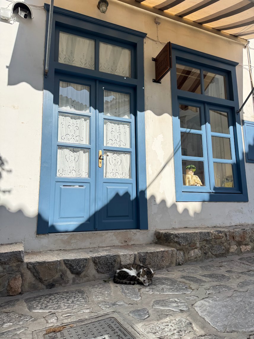 Blue door and window of a white house with a cat that sleeps on the step in Hydra