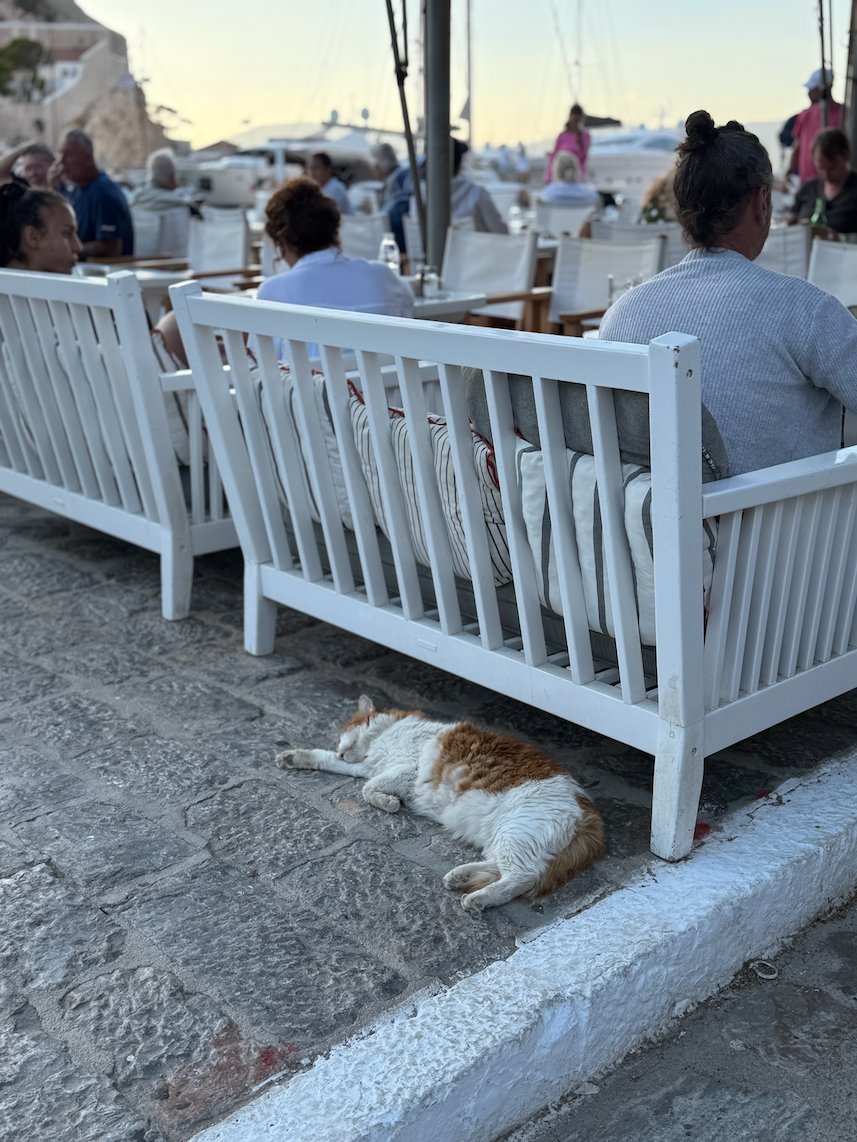 Cat that sleeps under white chairs at a café by the harbor in Hydra