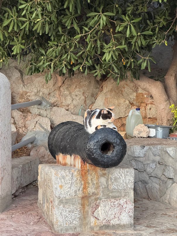 Cat that sits on an old black cannon in Hydra