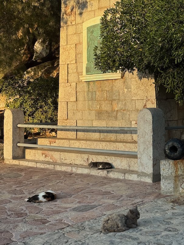 Cats that rest by a stone bench and an old building in Hydra