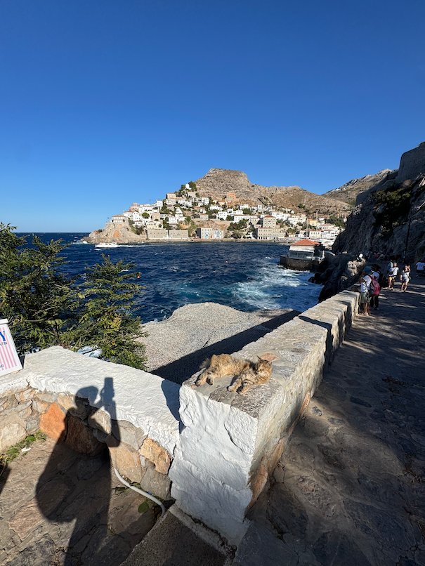 Coastal path with cats and a view of Hydra town