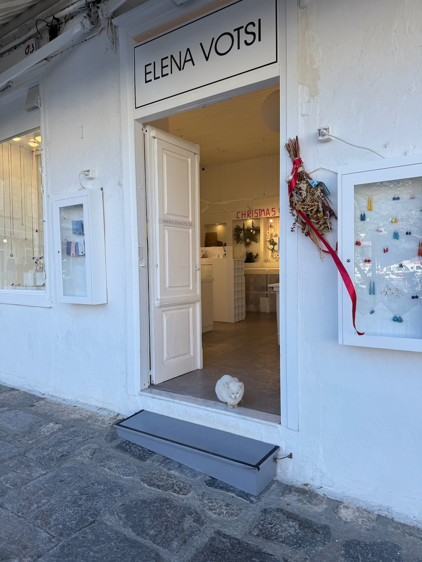 White shop entrance with a cat on the step in Hydra