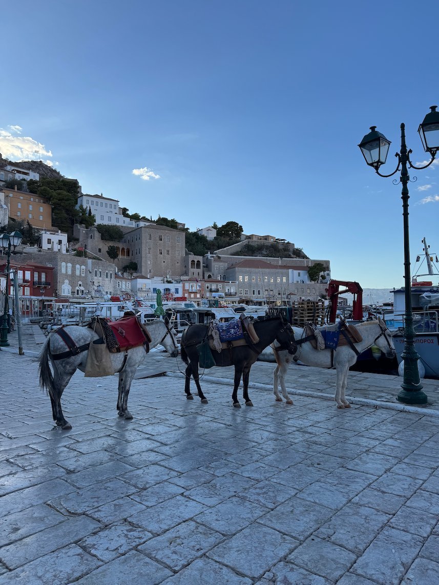 Donkeys waiting on the quay by a street lamp in Hydra harbor