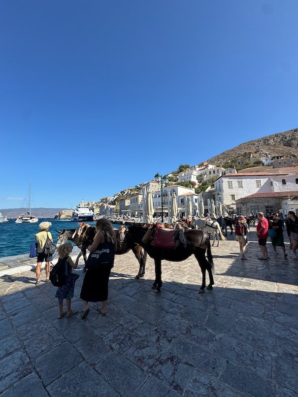 Donkeys and tourists on the stone quay of Hydra harbor