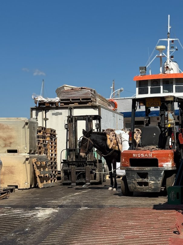 Forklift, cargo and a donkey on the quay in Hydra, where cars are not allowed