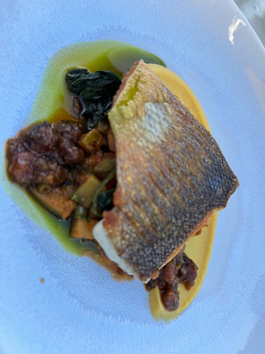 Fish fillet with vegetables and green sauce at a restaurant in Hydra