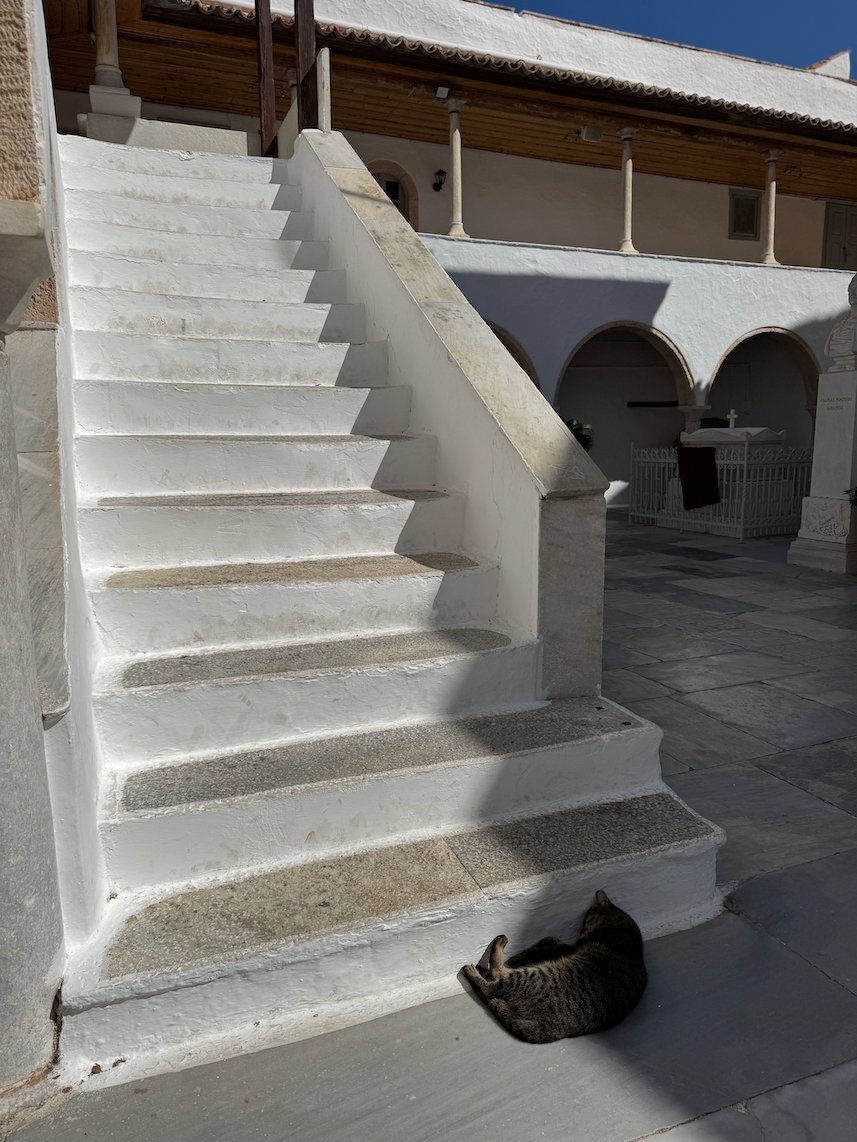 White stairs with a cat that sleeps at the bottom, in a courtyard in Hydra