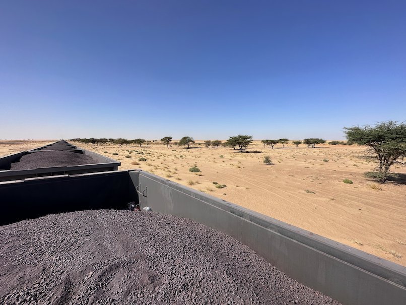 Acacia trees grow in the sand next to the ore train.