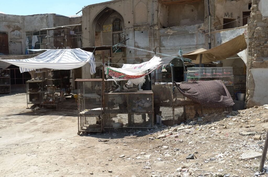 Market stalls with cages under white covers in Isfahan