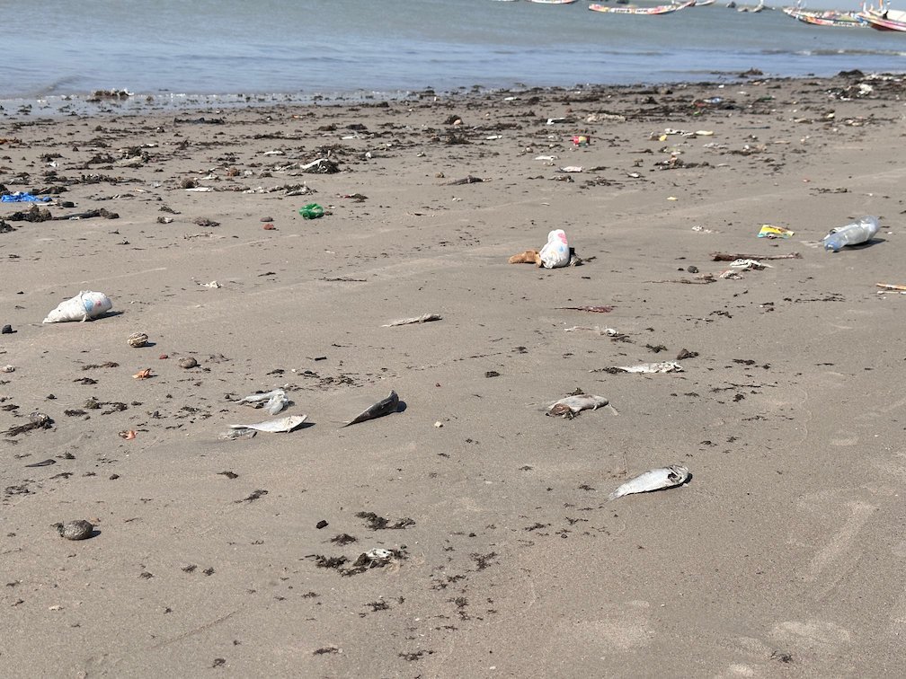 Plastic and other litter lie on the sand of the beach in Joal.