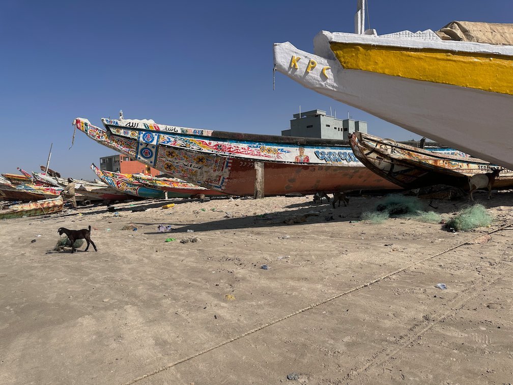 Painted pirogues lie on the beach next to a dog in Joal.