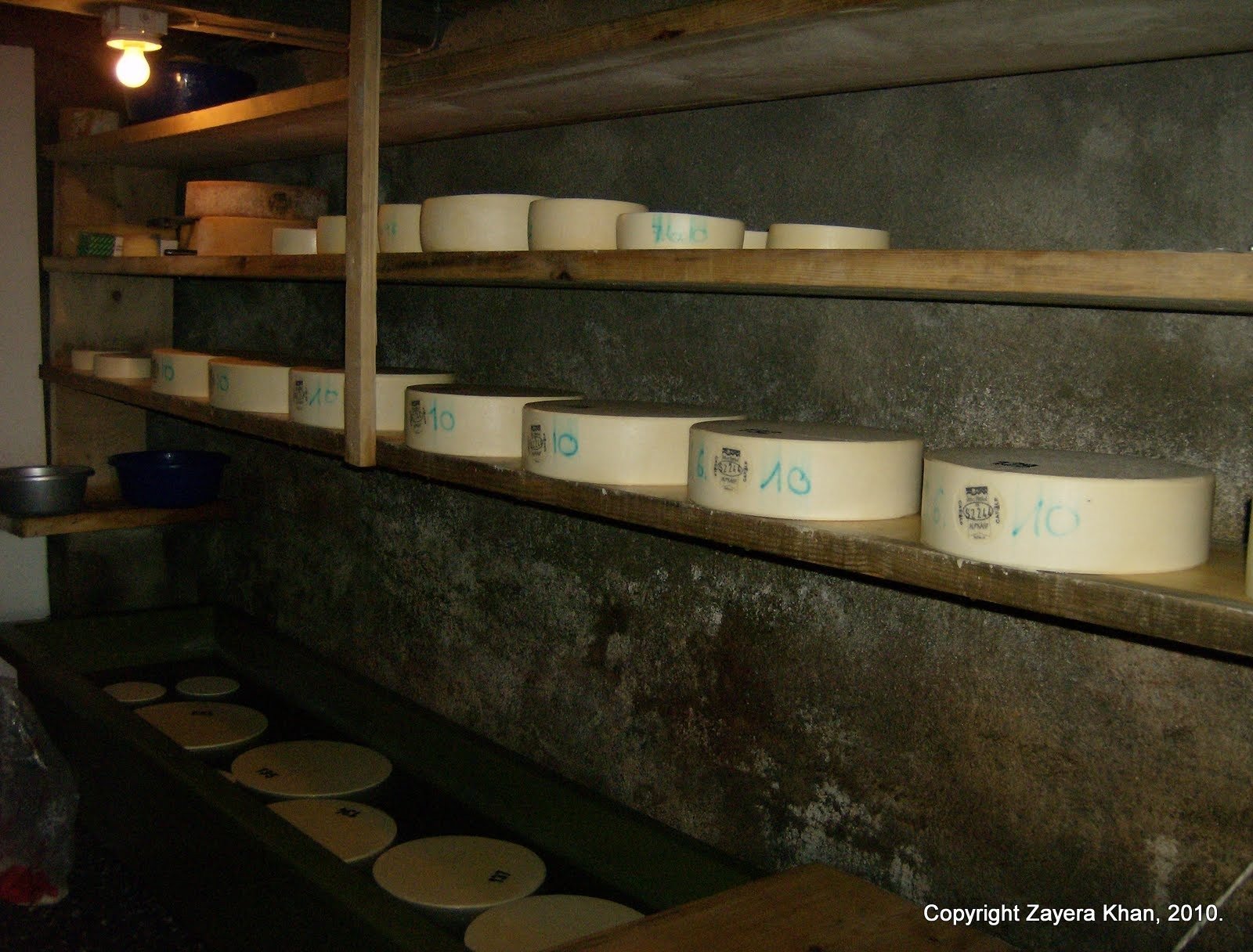 Cheese wheels lie on long wooden shelves in a dark cheese cellar near Kiental.