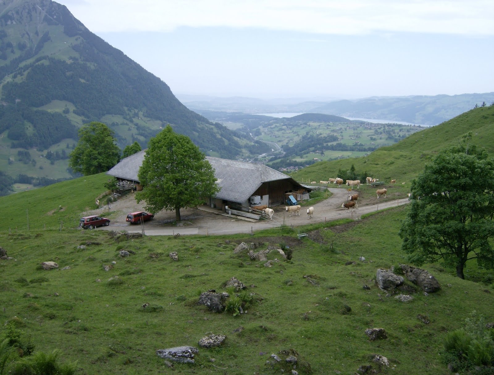 An alp farmhouse stands on a green slope with a lake in the distance.