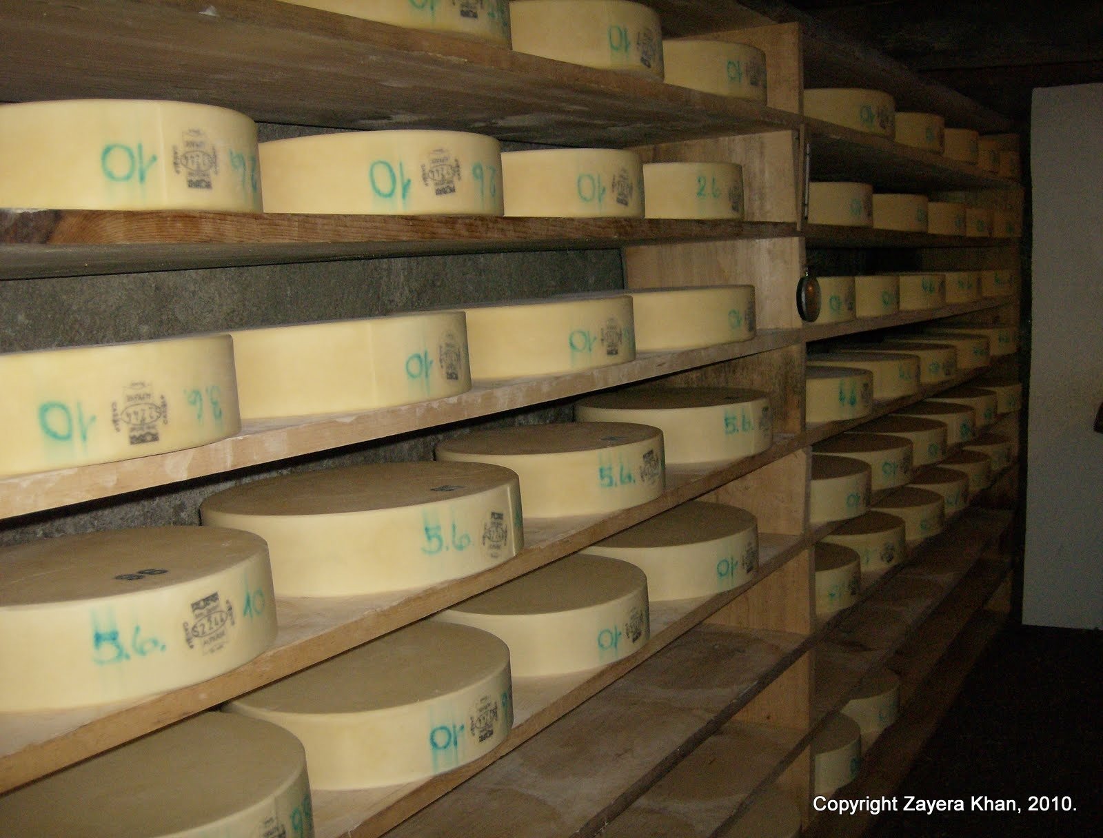 Rows of cheese wheels with numbers age on shelves in a Swiss alp farm cellar.