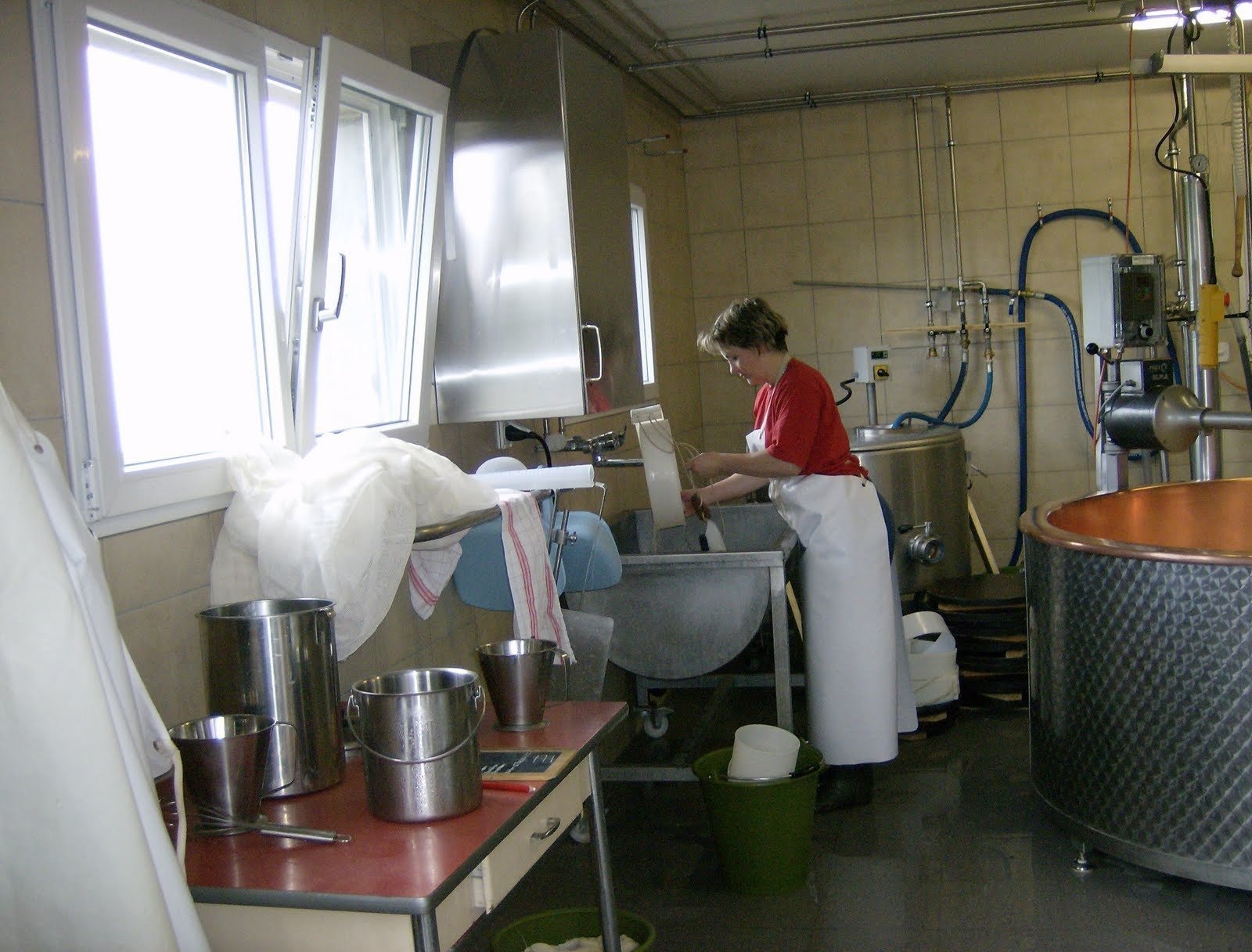 A woman works in the clean dairy room where cheese is made on the farm.