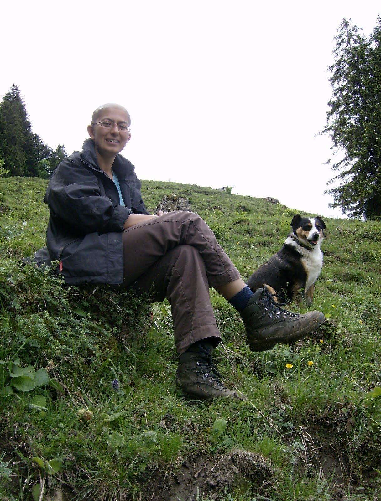 A person sits with a black and white dog on a steep alpine pasture.