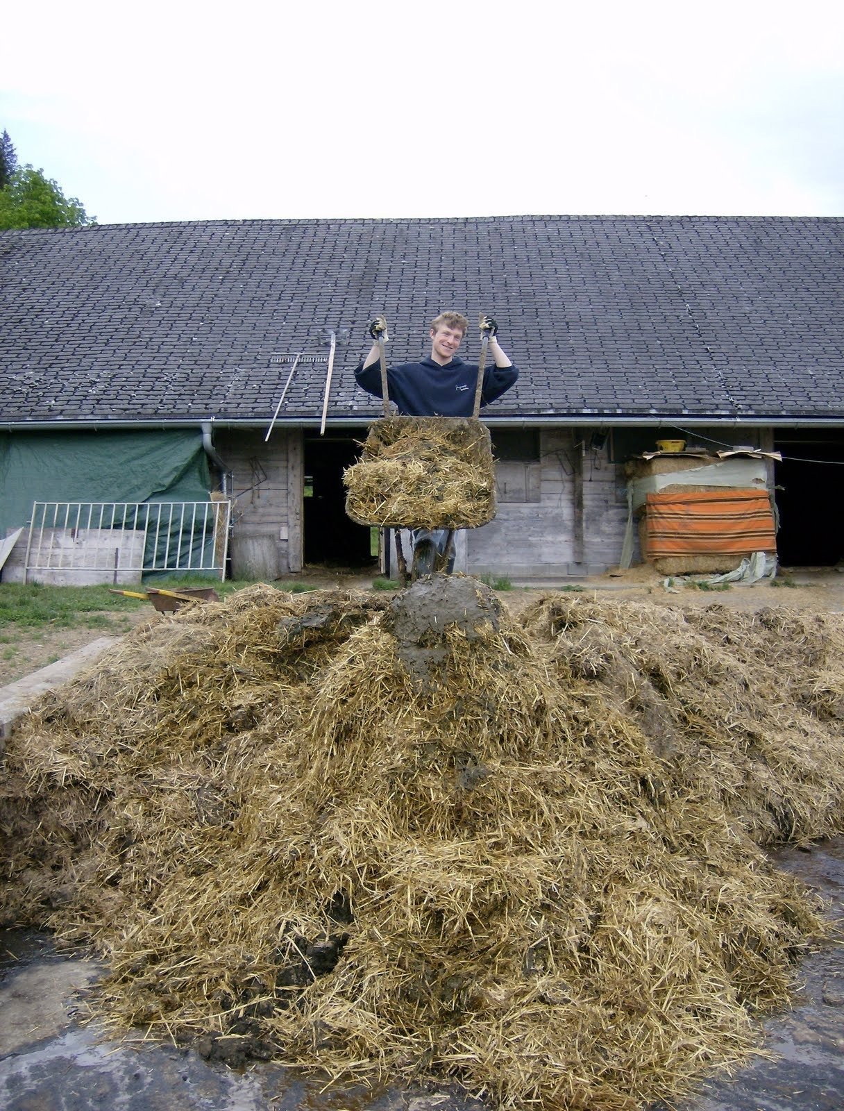 A young man pushes a wheelbarrow onto a large manure heap at an alp barn.