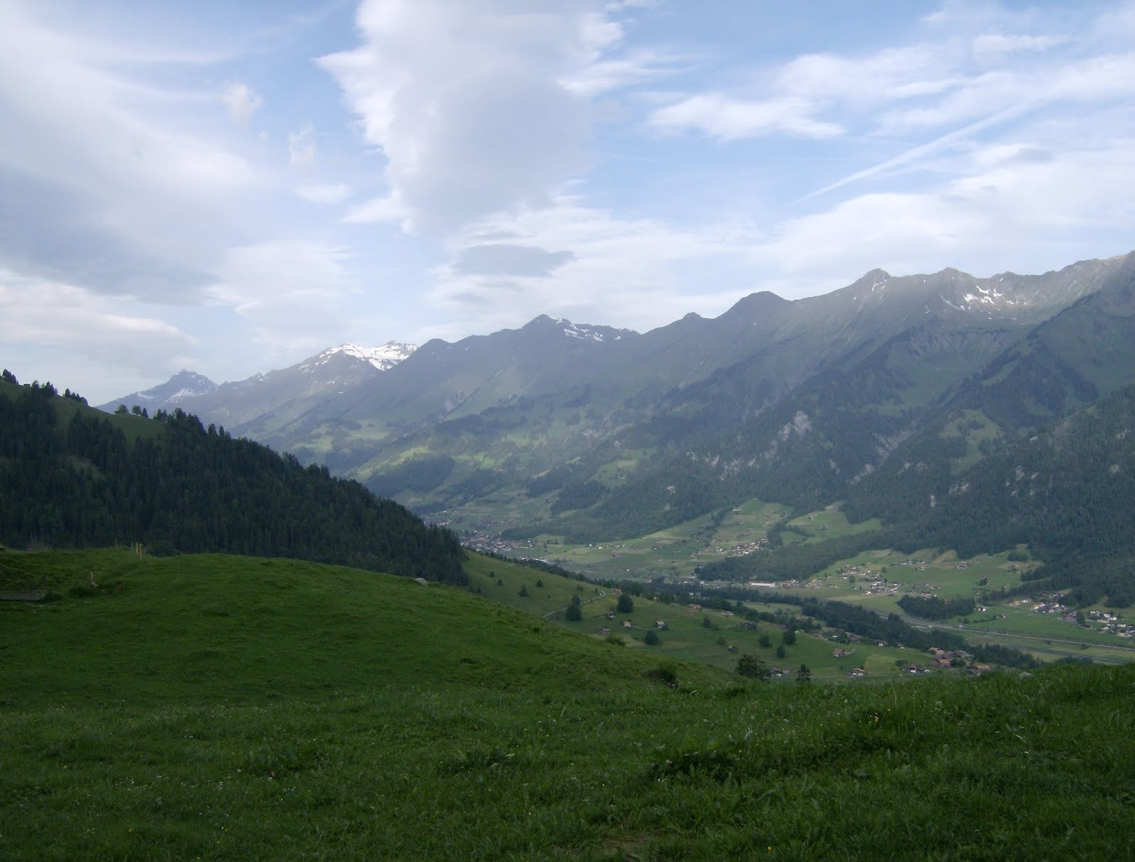 Green pastures look out over a wide valley and mountain ridge in the Bernese Oberland.