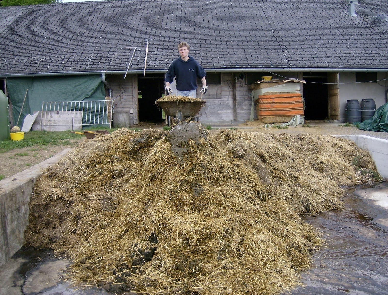 A young man stands with a wheelbarrow behind a large manure heap at a long barn.