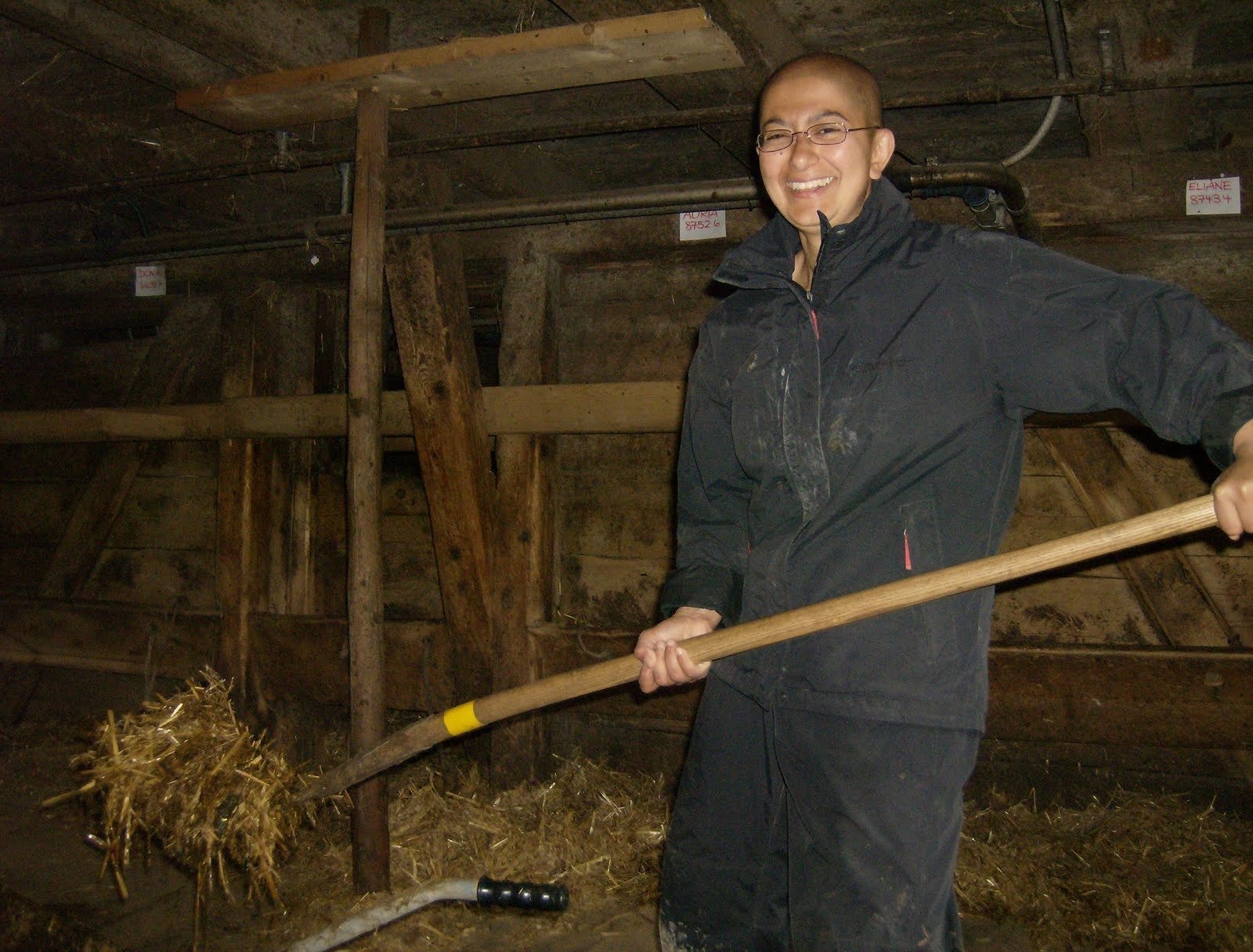 Zayera Khan cleans straw from a cow barn with a fork on an alp farm.
