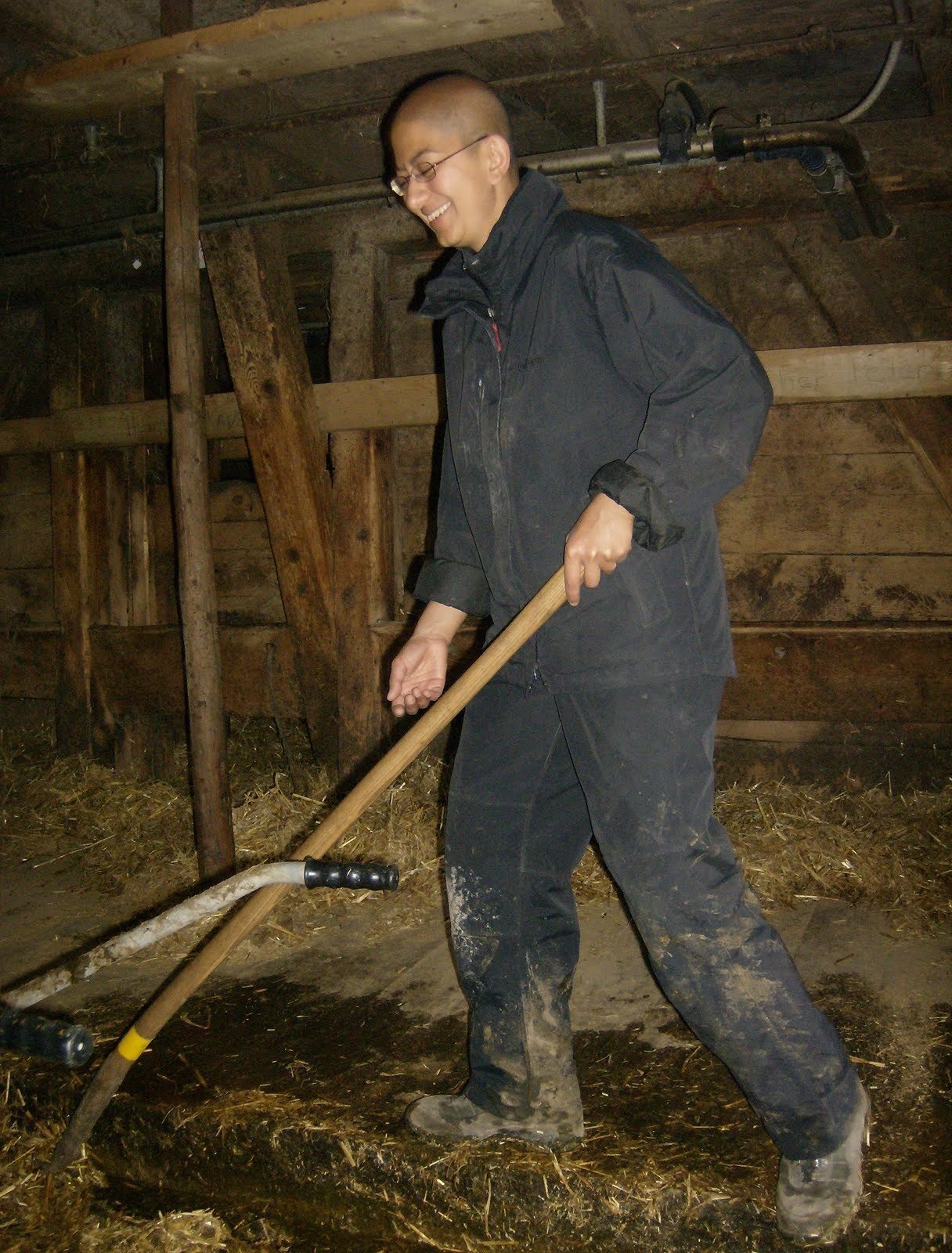 Zayera Khan works with a pitchfork in a wooden cow barn on an alp farm.
