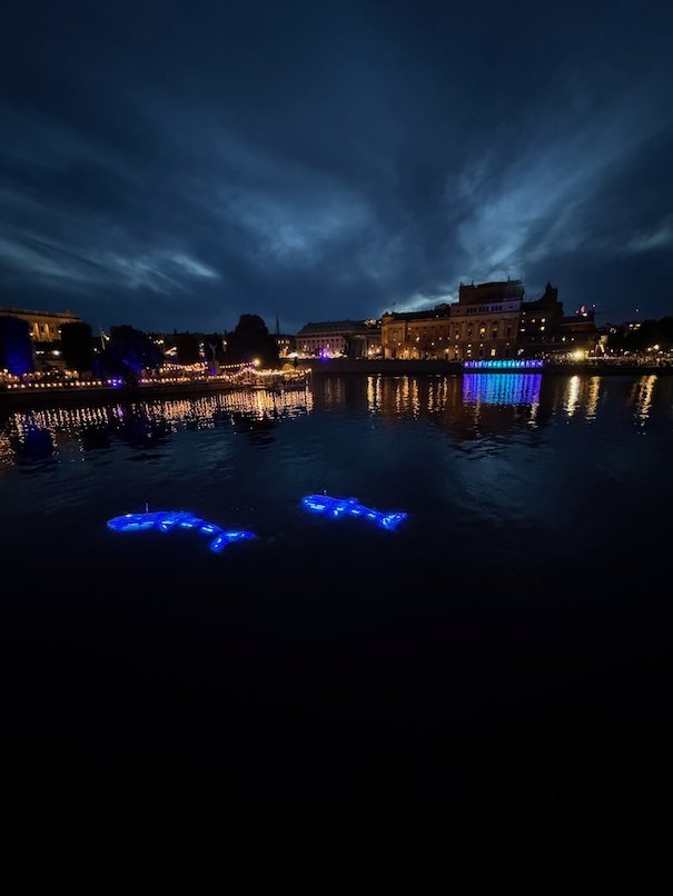 Blue fish-shaped light installations floating on Strömmen at night, with the lit buildings of central Stockholm behind