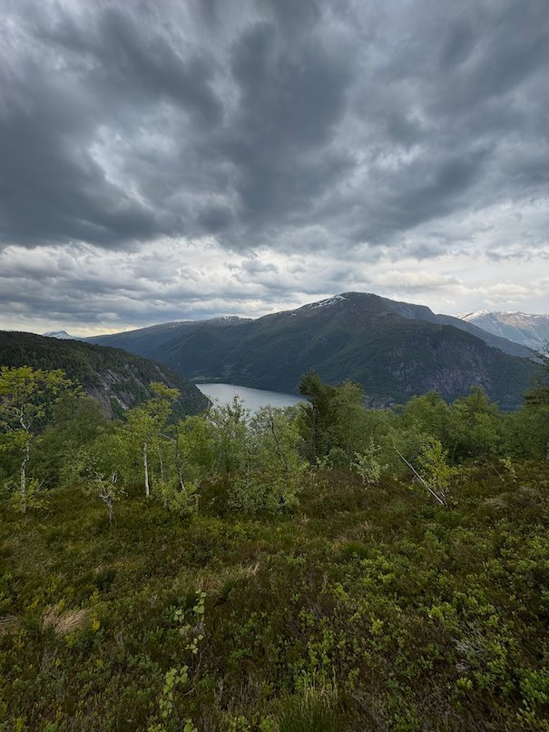 Fjord and mountains seen from a grassy hillside above Kvanndal