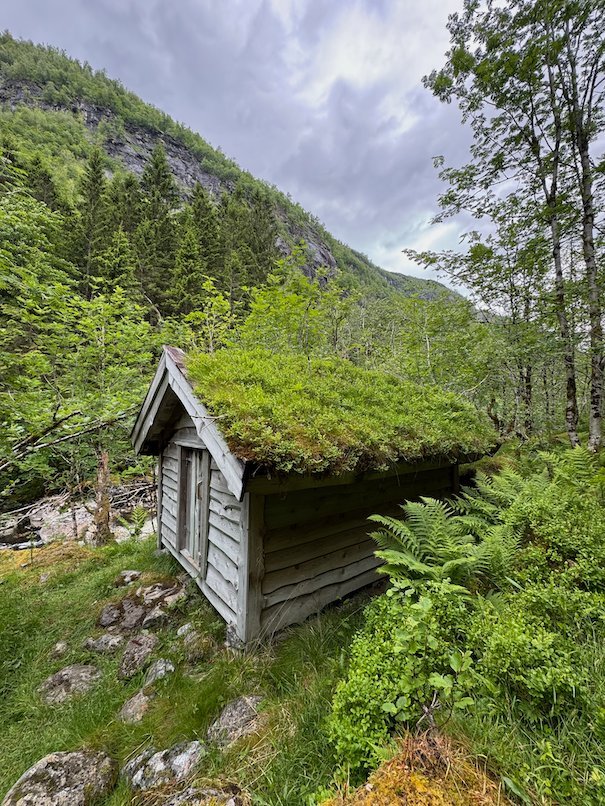 Small hut with a grass roof among trees