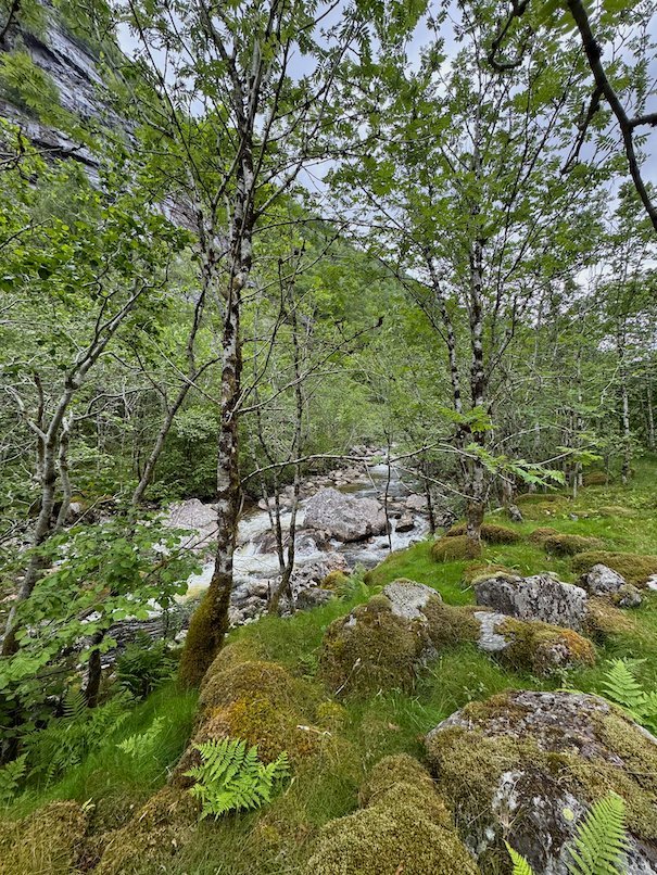 Mossy rocks by the river in Kvanndalen