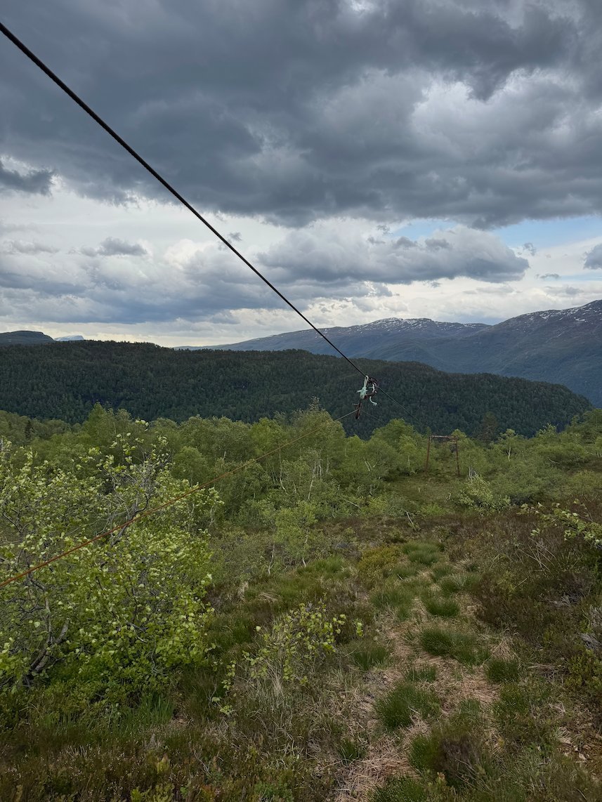 Power line over the forest and mountains above Kvanndal