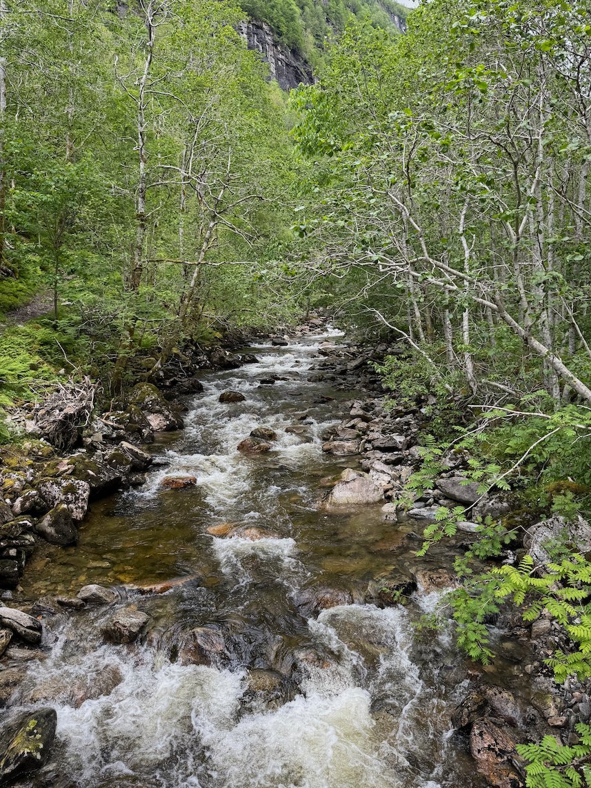 River rapids in the forest of Kvanndalen