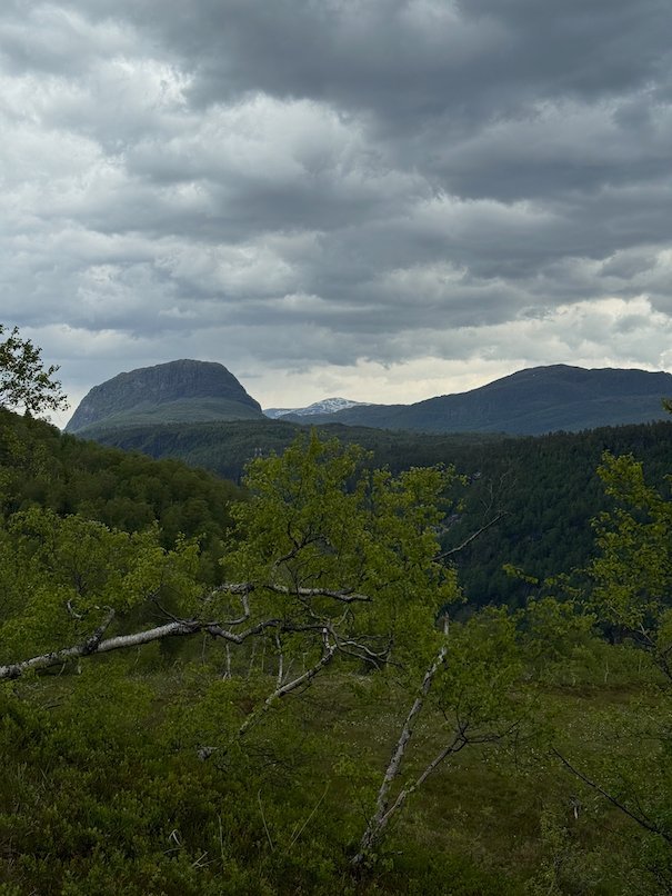 Steep mountain peak above the forest under grey clouds